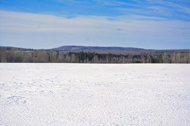 _DSC0005oo
