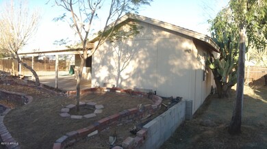 backyard pic 2