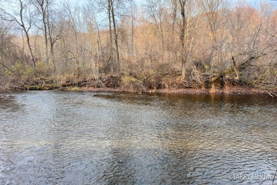 V/L Stoneybrook Trail, Hubbardston, MI 48845 - photo 4