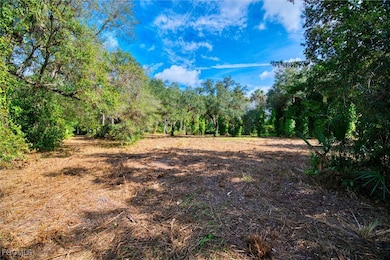 14221 River Rd, Fort Myers, FL 33905 - photo 7