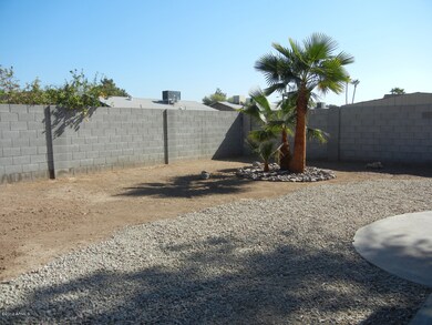 Backyard1