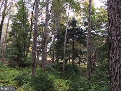 41-3-2 Arrowhead Dr, Tobyhanna Township, PA 18347 - photo 2