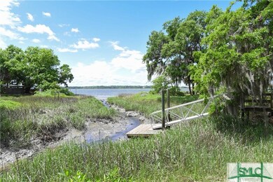 Creek leads to Wilmington River from HOA dock.