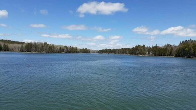 Lot 21 Image 6