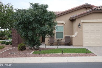 1313 W Buckeye Tree Ave, San Tan Valley, AZ 85140 - photo 2