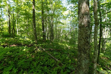 Lot 6 E Ridge Rd, Cashiers, NC 28717 - photo 3