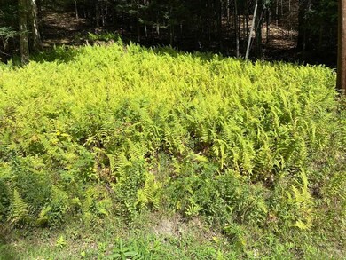 10 Wetherbee Rd, Lyman, NH 03585 - photo 5