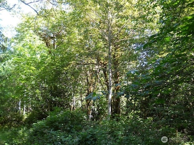 0 XXX N Triton Heights Rd, Lilliwaup, WA 98555 - photo 3