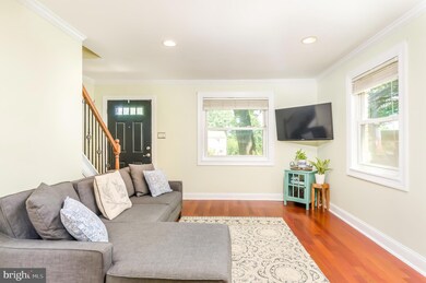 5877 Blaine Dr, Alexandria, VA 22303 - photo 5