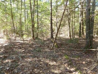 Map 42 Lot 328 Bristol Rd, Barnstead, NH 03225 - photo 2