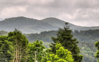 63 Seminary Cir, Ellijay, GA 30540 - photo 4