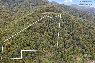 1505 Summit View Dr unit 20, Canton, NC 28716 - photo 5