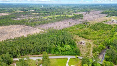 TBD Watts Rd, Loris, SC 29569 - photo 7