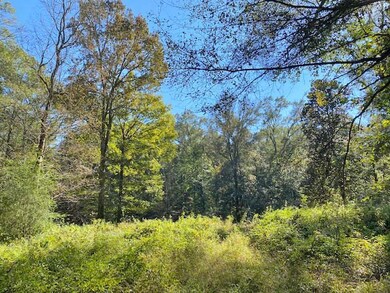 000 Kirklin Rd, Tylertown, MS 39667 - photo 6