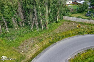 L18 B6 Mona Ave, Anchorage, AK 99516 - photo 7