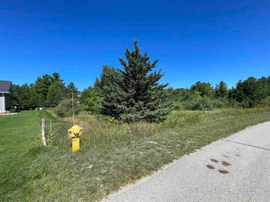 Lot 33 Weislik Ct, Charlevoix, MI 49720 - photo 3