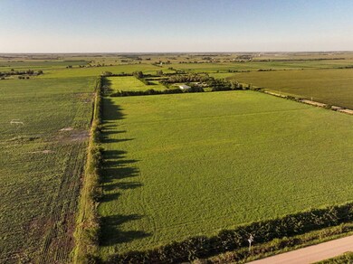 TBD 20th Rd, Central City, NE 68826 - photo 7