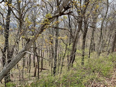 0 Madison 6431 unit 1181224, Elkins, AR 72727 - photo 7