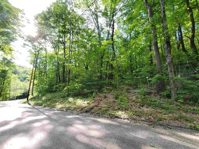 00 Lake Raponda Rd, Wilmington, VT 05363 - photo 7