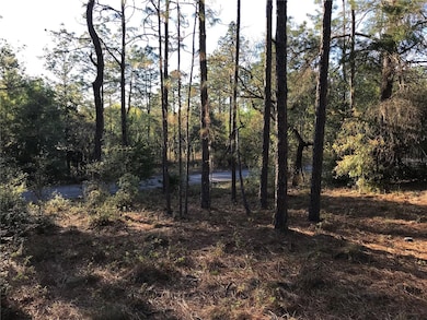 8965 SW 212th Ct, Dunnellon, FL 34431 - photo 7