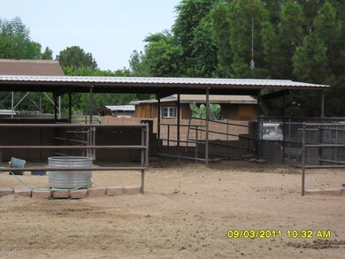 Horse Set Up