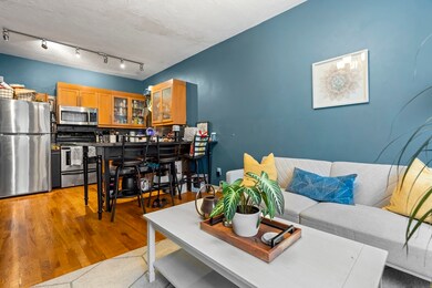 881 Harrison Ave unit 1, Boston, MA 02118 - photo 4