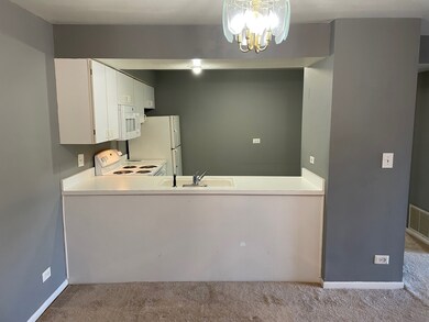 4506 Kings Walk Dr unit 1B, Rolling Meadows, IL 60008 - photo 3