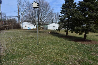 back yard 3107