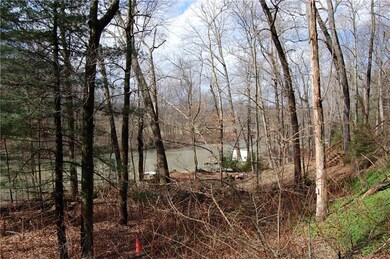 Slippery Rock Creek View