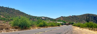 IMG_5255