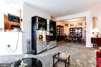 11150 Chambers Ct unit E, Woodstock, MD 21163 - photo 6