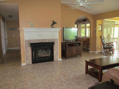 gas fireplace