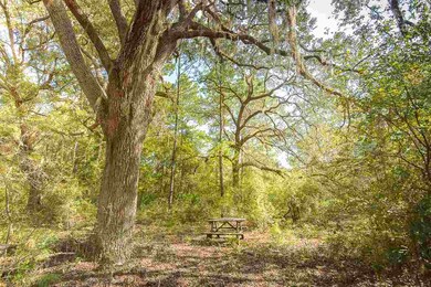 74 Revadee Spears Rd, Crawfordville, FL 32327 - photo 7