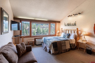 314 N Tamarron Dr unit 506, Durango, CO 81301 - photo 7