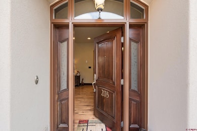 3416 Main Ave unit 203, Durango, CO 81301 - photo 5