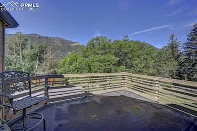 4665 Fox Rd, Cascade, CO 80809 - photo 7