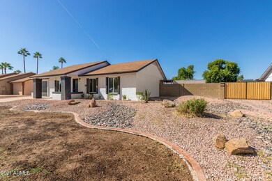4 - Freestone