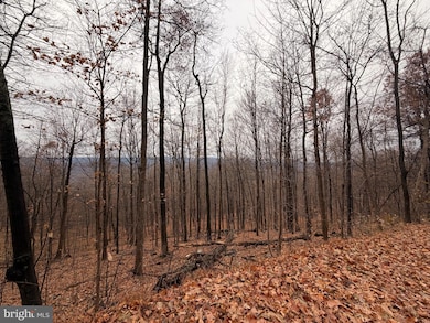 6.71 AC LOT 9 Gobbler Rd, Hedgesville, WV 25427 - photo 2