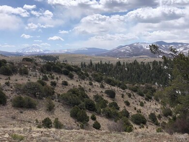 127 Flavin Ln unit 127, Fort Garland, CO 8113 - photo 3