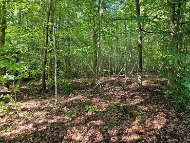 0 Abilene Rd unit 1 57687, Keysville, VA 23947 - photo 6