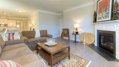 253 Robinwood Rd unit 220, Lake Wylie, SC 29710 - photo 5