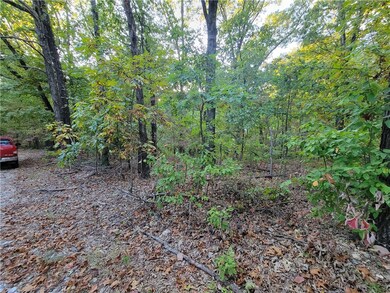 0 Cockerham Ln, Bella Vista, AR 72714 - photo 3