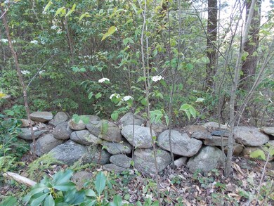 Lot B New Templeton Rd, Hubbardston, MA 01452 - photo 2