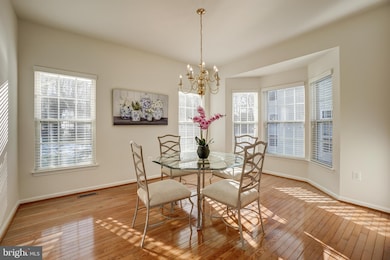 4907 Daisey Creek Terrace, Beltsville, MD 20705 - photo 7