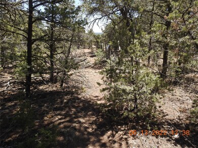 1C Tierra de Dios, Rowe, NM 87567 - photo 7
