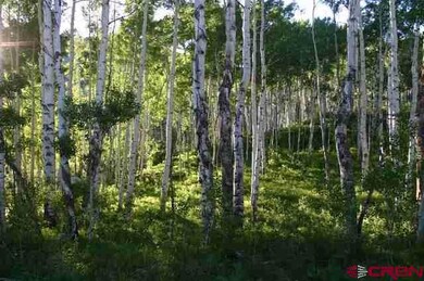 0 Roaring Judy Ranch Rd unit 5305, Crested Butte, CO 81224 - photo 5