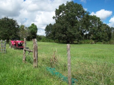 17831 County Road 319, Brazoria, TX 77422 - photo 5