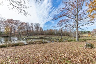 2010 County Road 459, Poplar Bluff, MO 63901 - photo 4