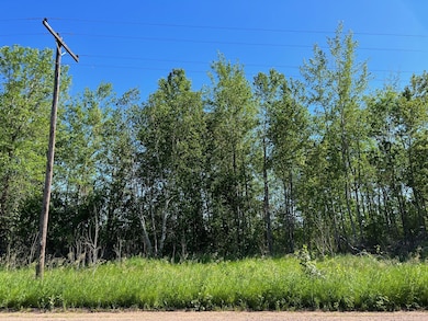 TBD Cross Park Rd, Hinckley, MN 55037 - photo 4