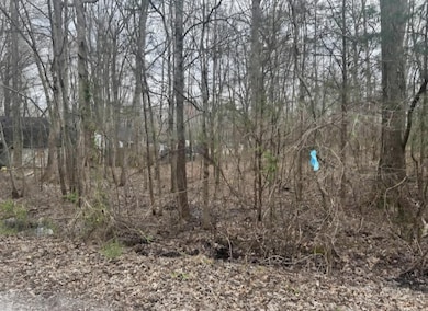 0 Pin Oak Run, Beechgrove, TN 37018 - photo 2